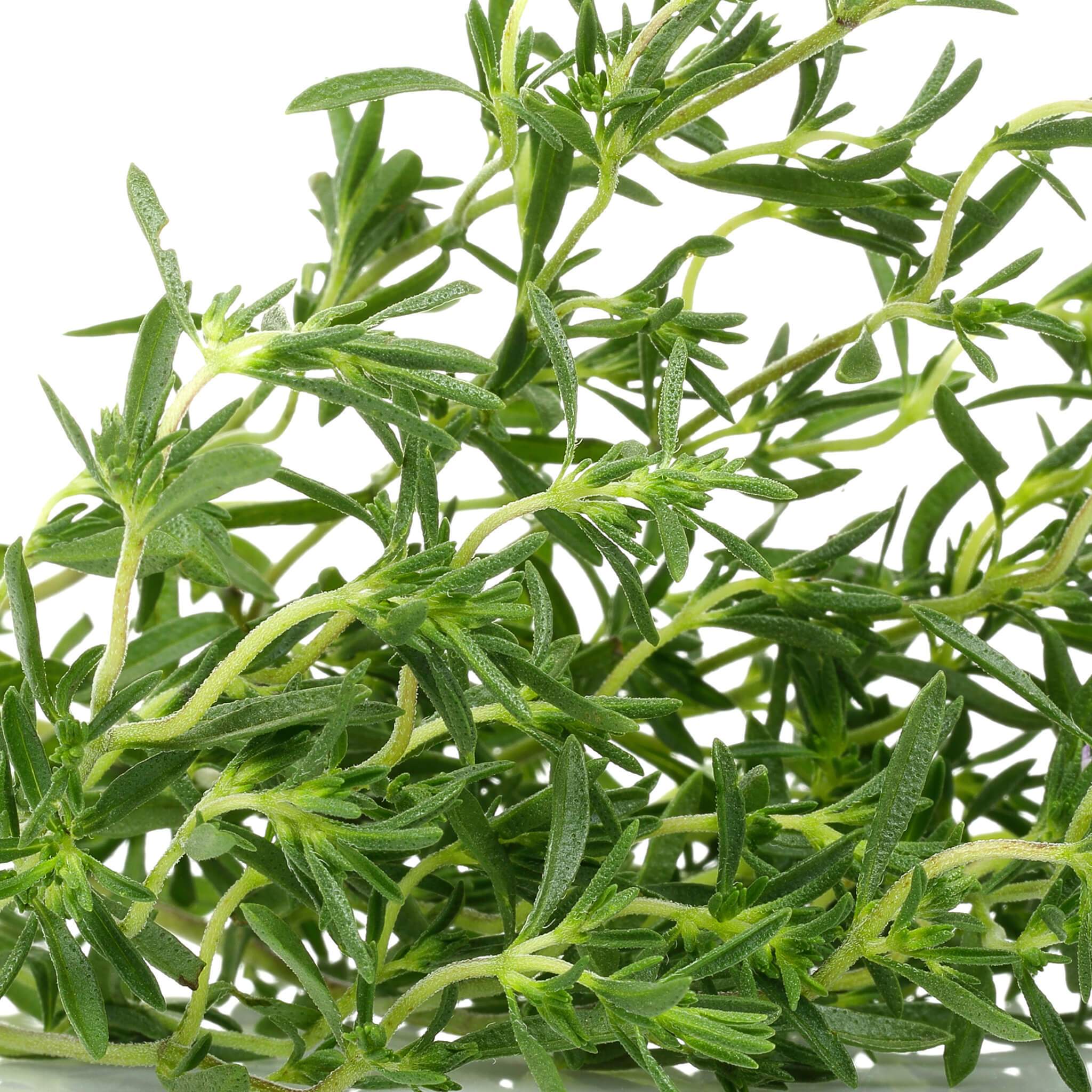 Seaweed Detox Bath | 100% PURE